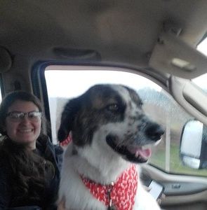 Meet your Posher, Wayne